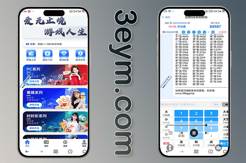 宝马28源码完整运营版/PC28彩票源码/番摊28加拿大28彩票/Vue前端+Python后端系统